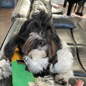 Meet your Posher, Christa